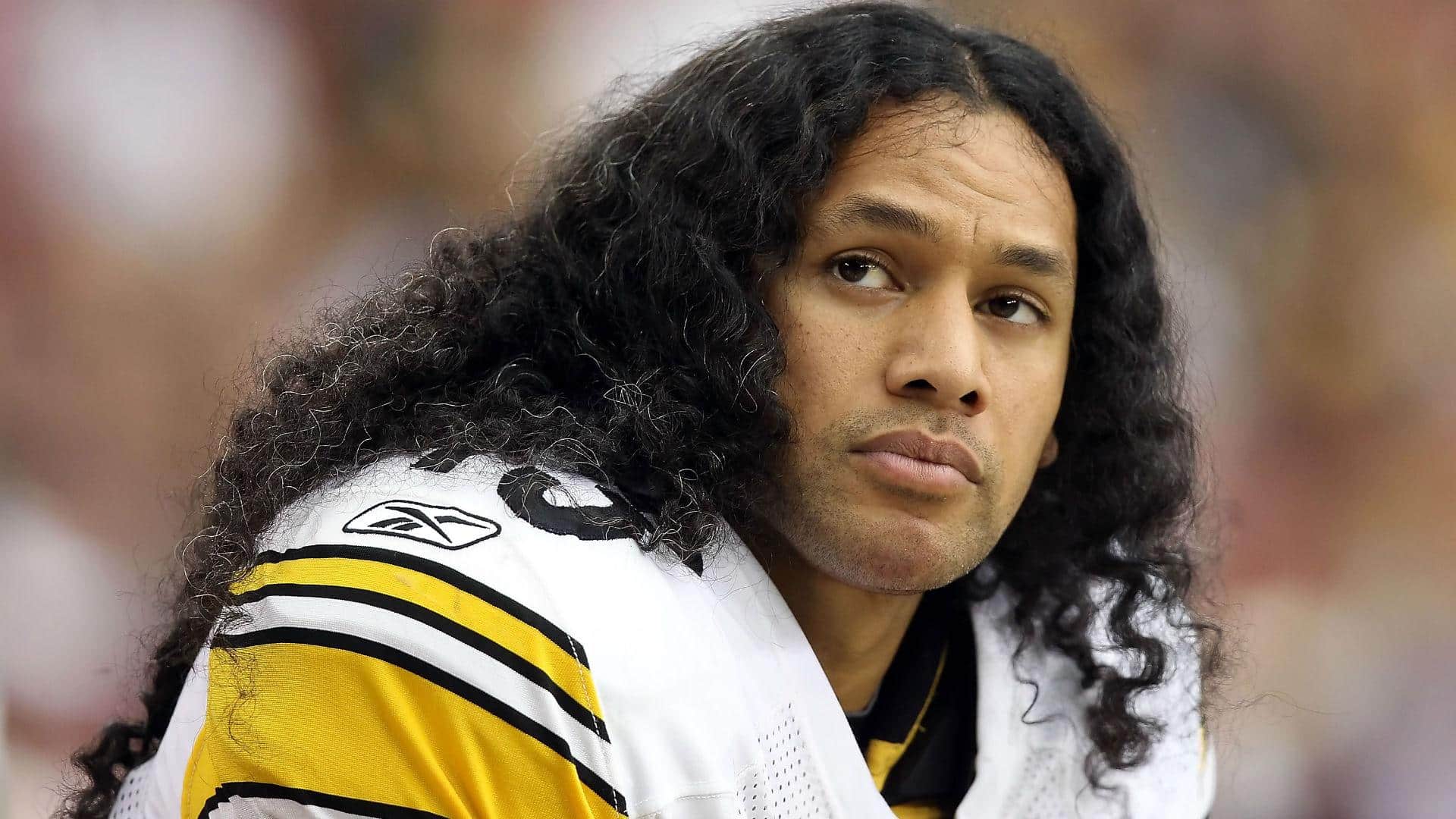 What is Troy Polamalu's Net Worth?